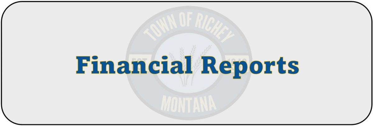Financial Reports