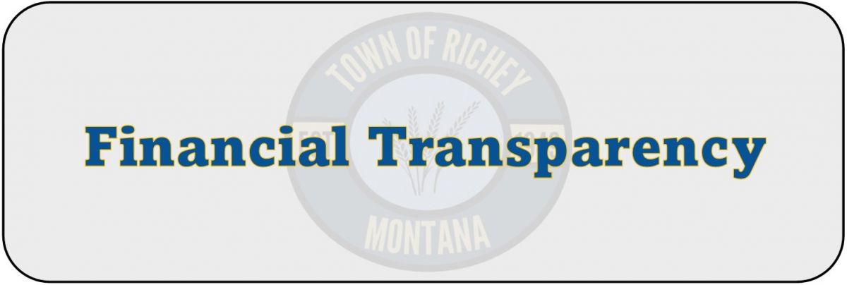 Financial Transparency