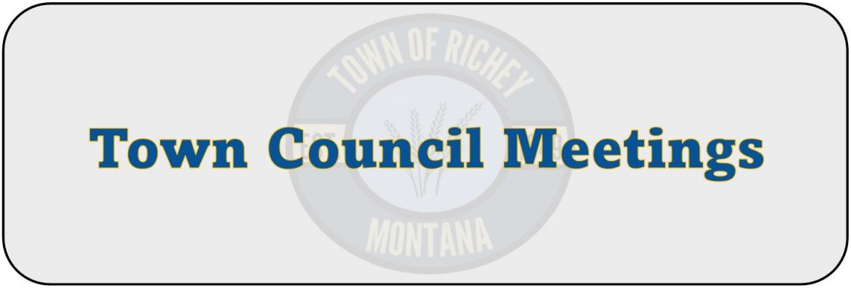 Town Council Meetings